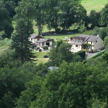 Ty Twt - Complete Holiday Home Llandysul Bagian luar foto