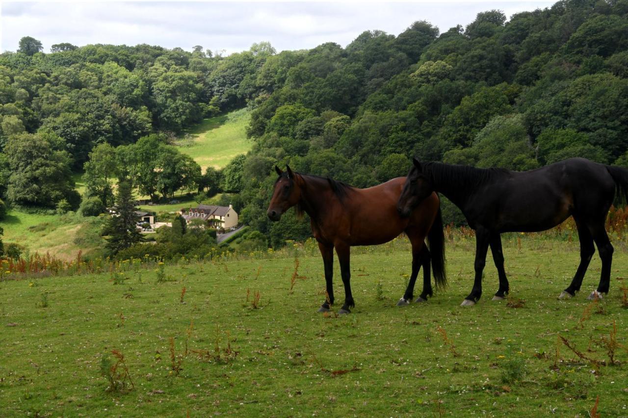 Ty Twt - Complete Holiday Home Llandysul Bagian luar foto