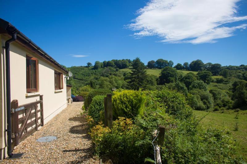Ty Twt - Complete Holiday Home Llandysul Bagian luar foto
