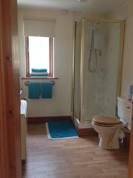 Ty Twt - Complete Holiday Home Llandysul Bagian luar foto